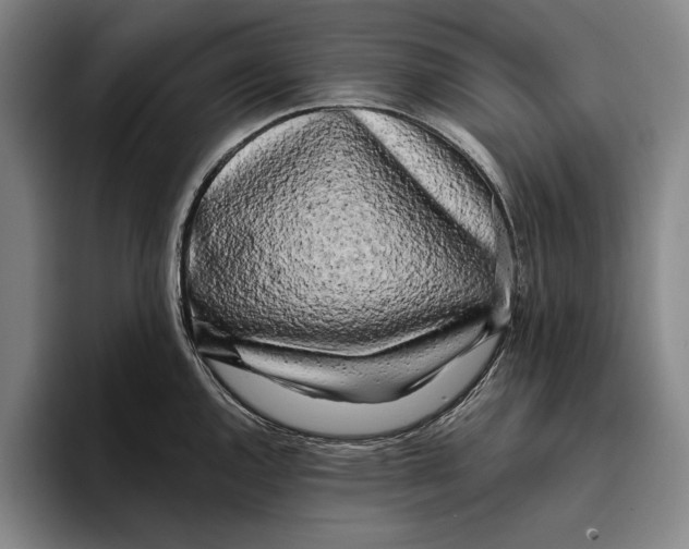 X0000096141144200802151329