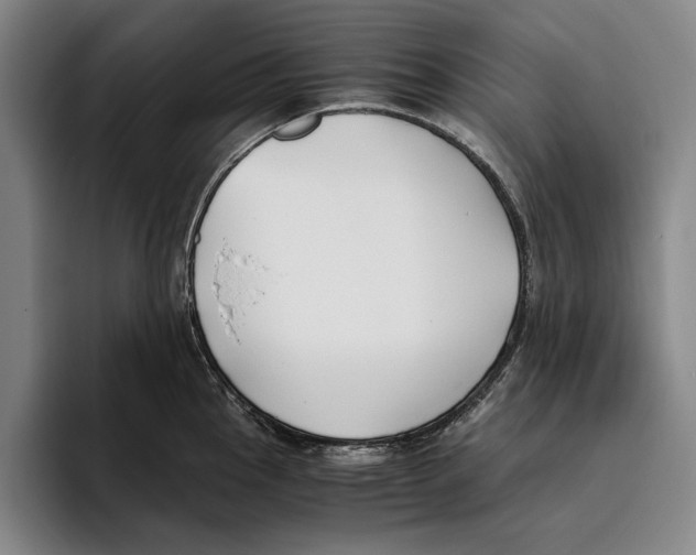X0000096141145200802151329