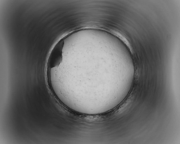 X0000096141146200802151329
