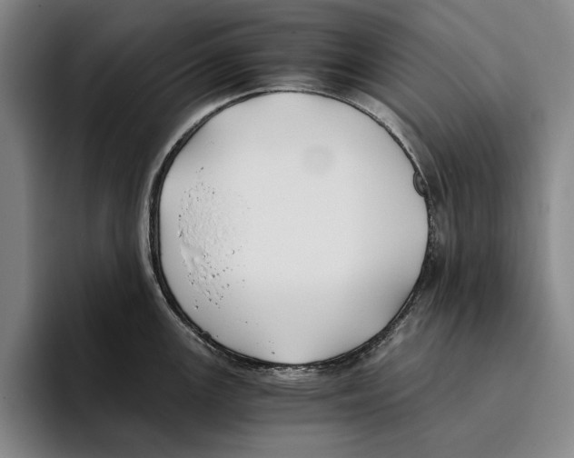 X0000096141147200802151329