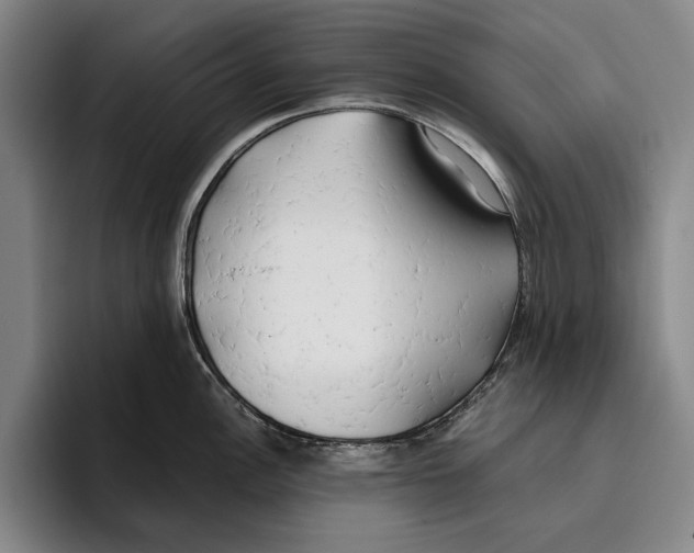 X0000096141148200802151329