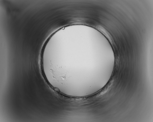 X0000096141149200802151329