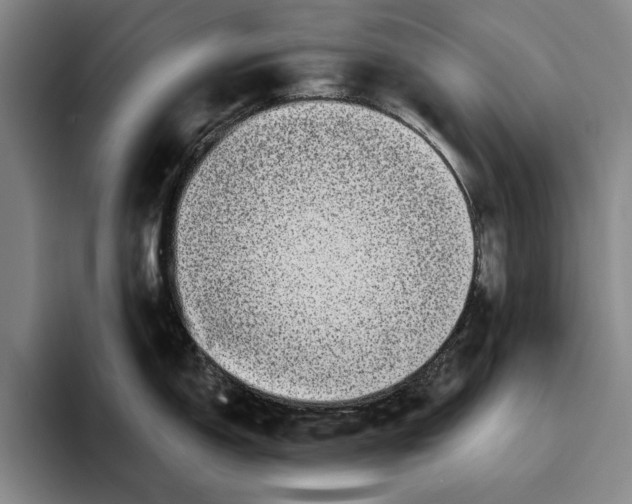 X0000096141150200802151329