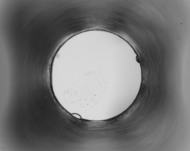 X0000096141151200802151329