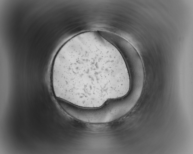 X0000096141152200802151329