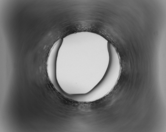 X0000096141153200802151328