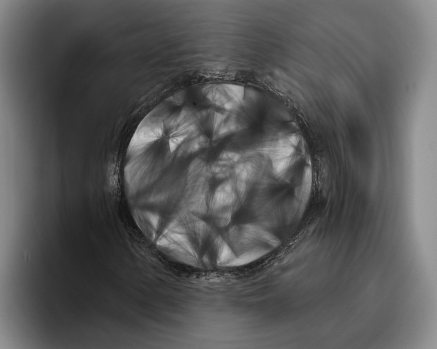 X0000096141154200802151328