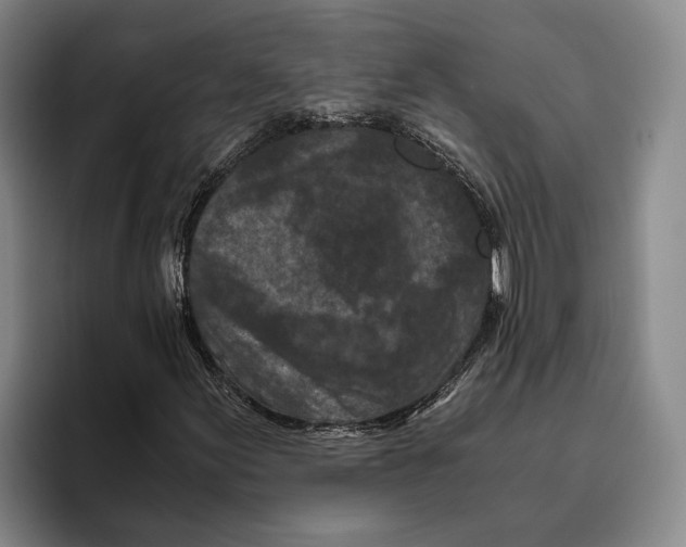 X0000096141155200802151328