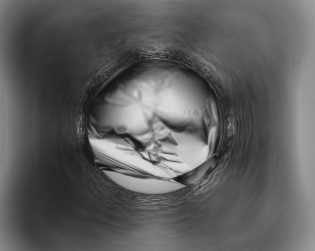 X0000096141156200802151328