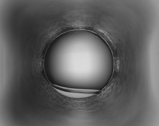 X0000096141157200802151328