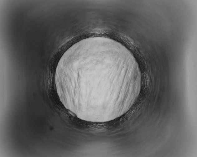 X0000096141158200802151328