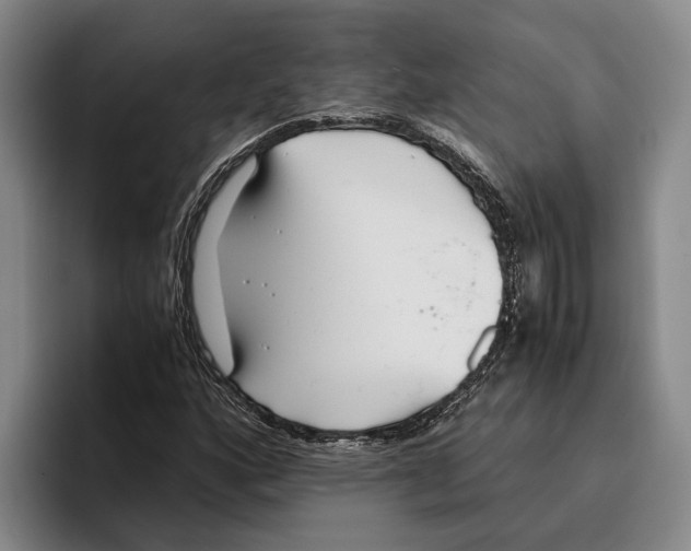 X0000096141160200802151328