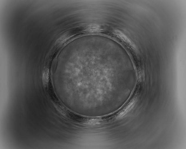 X0000096141161200802151328
