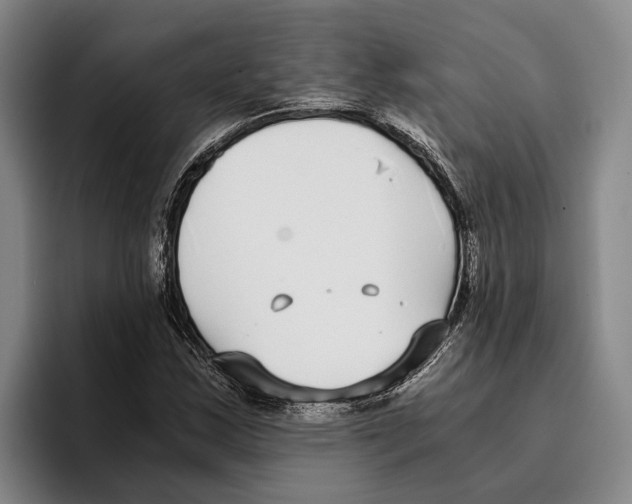 X0000096141163200802151328