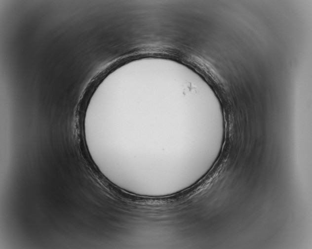 X0000096141164200802151328