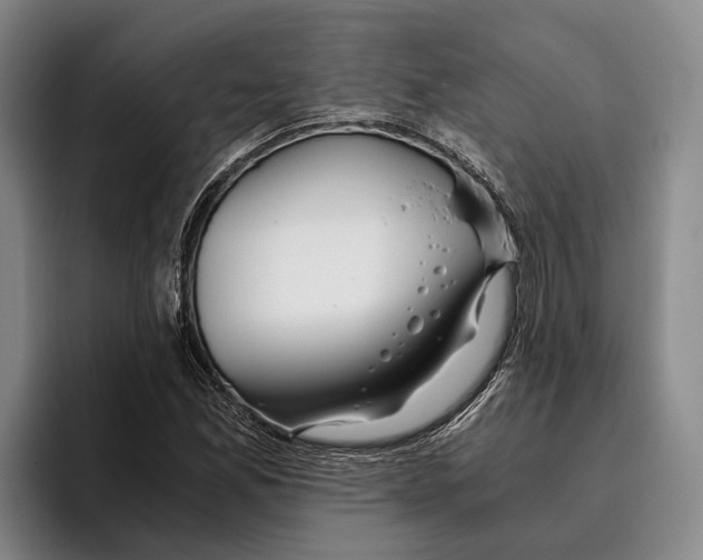 X0000096141165200802151328