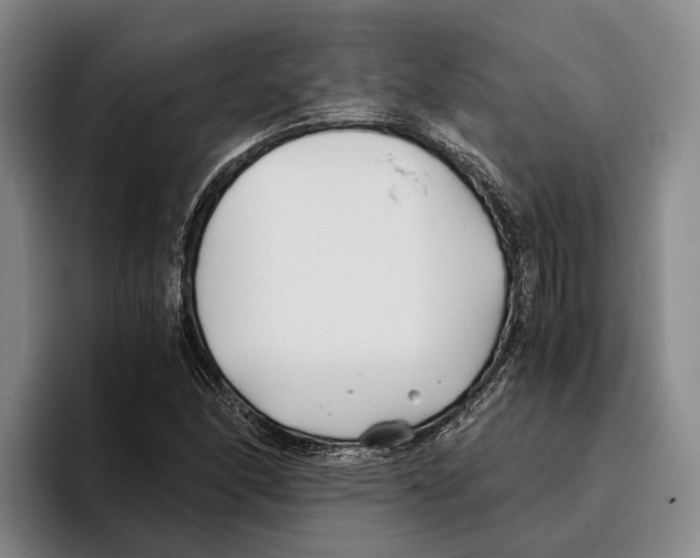 X0000096141166200802151328