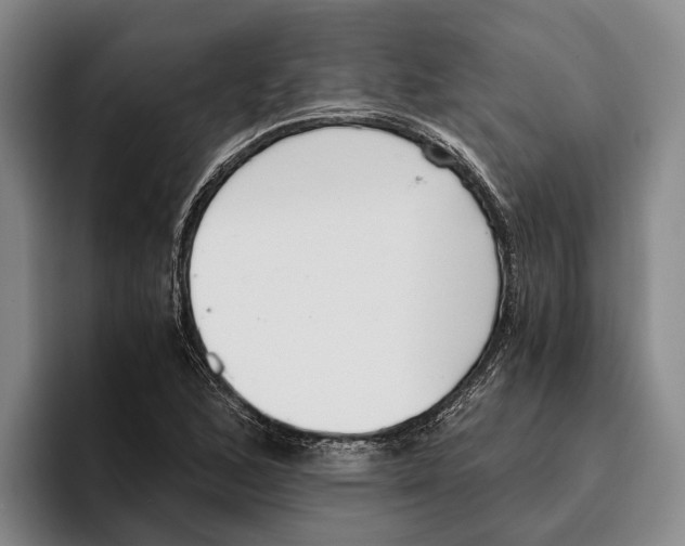 X0000096141168200802151328
