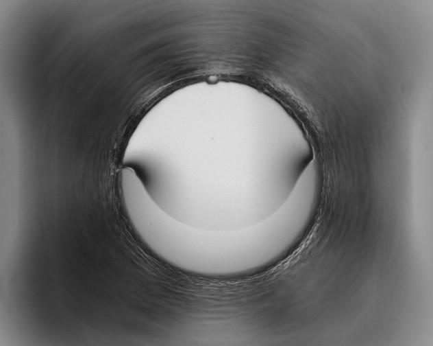 X0000096141169200802151328