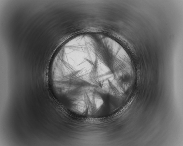 X0000096141170200802151328