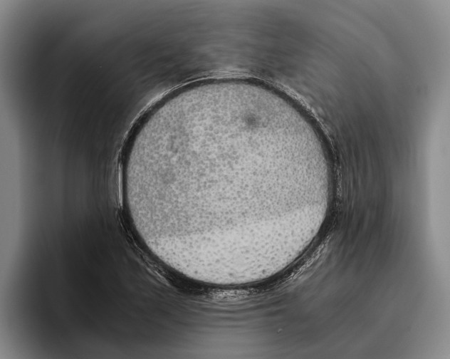 X0000096141171200802151328