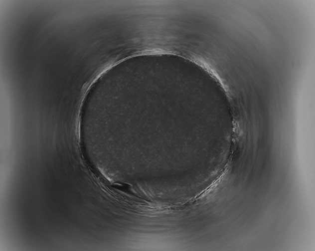X0000096141173200802151328