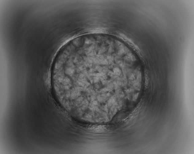 X0000096141174200802151328