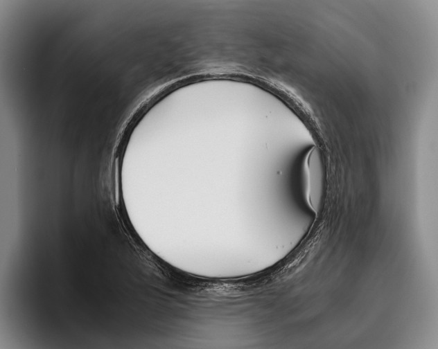 X0000096141175200802151328