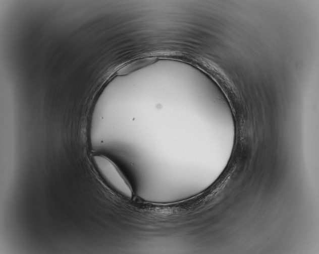 X0000096141177200802151328
