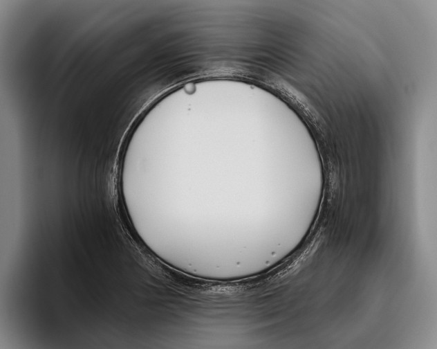 X0000096141178200802151328