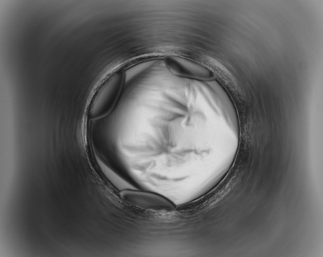 X0000096141180200802151328