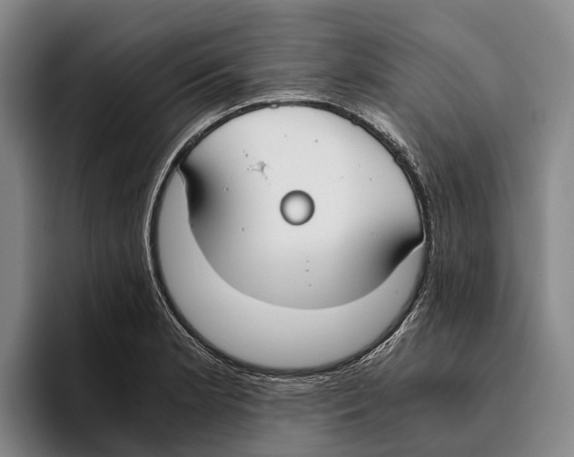 X0000096141181200802151328