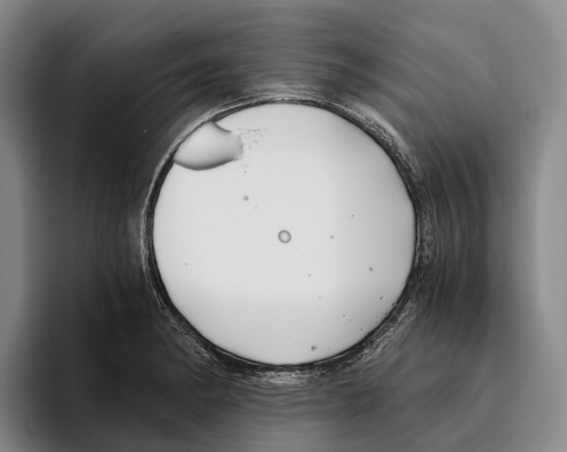 X0000096141182200802151328