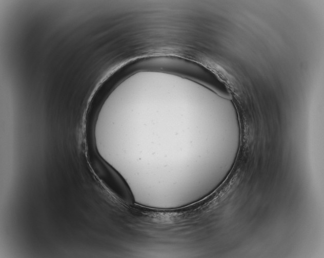 X0000096141184200802151328