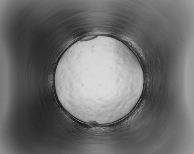 X0000096141185200802151328