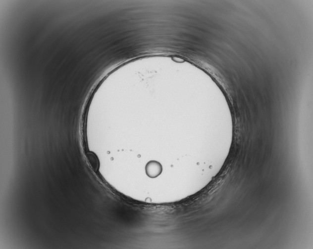 X0000096141187200802151328