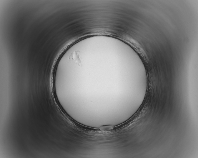 X0000096141188200802151328