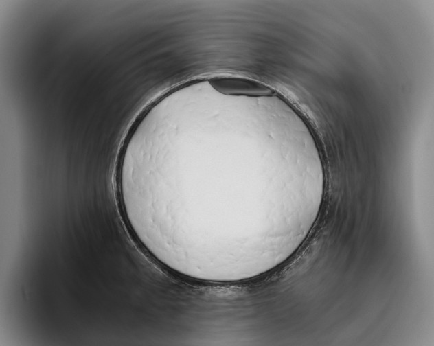 X0000096141189200802151328