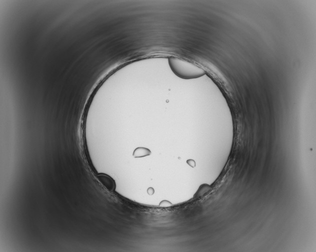 X0000096141190200802151328