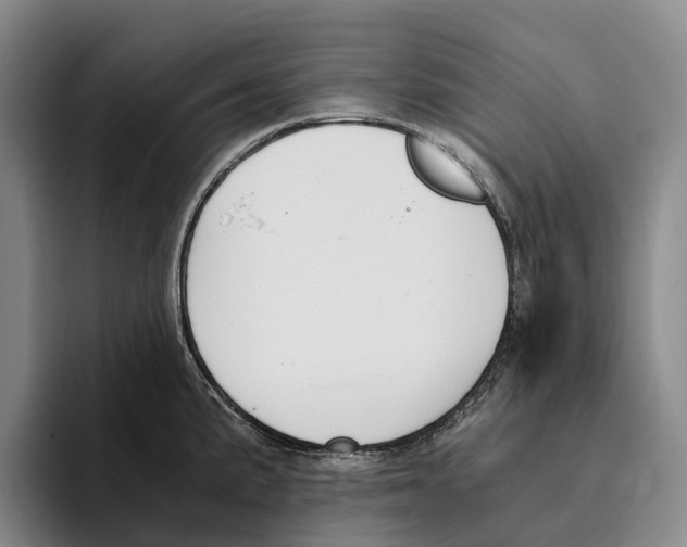 X0000096141191200802151328