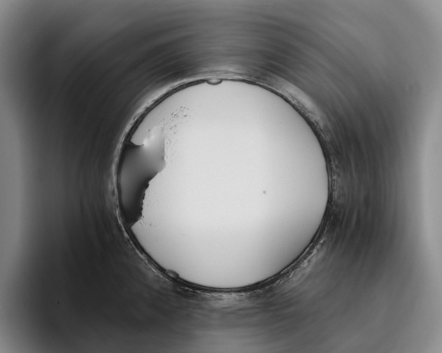 X0000096141192200802151328