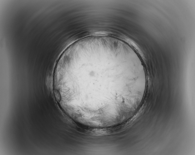 X0000096141194200802151328
