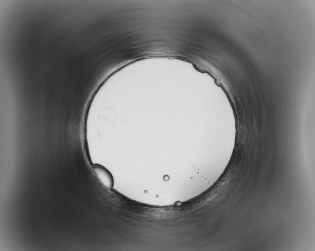 X0000096141195200802151328