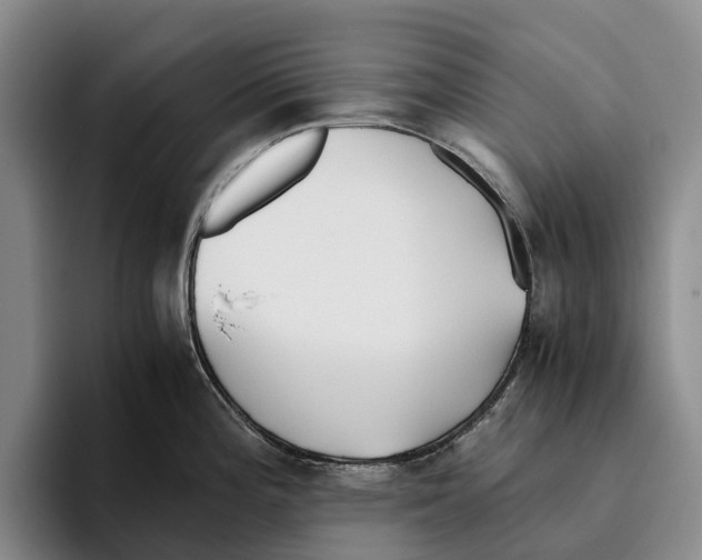 X0000096141196200802151328
