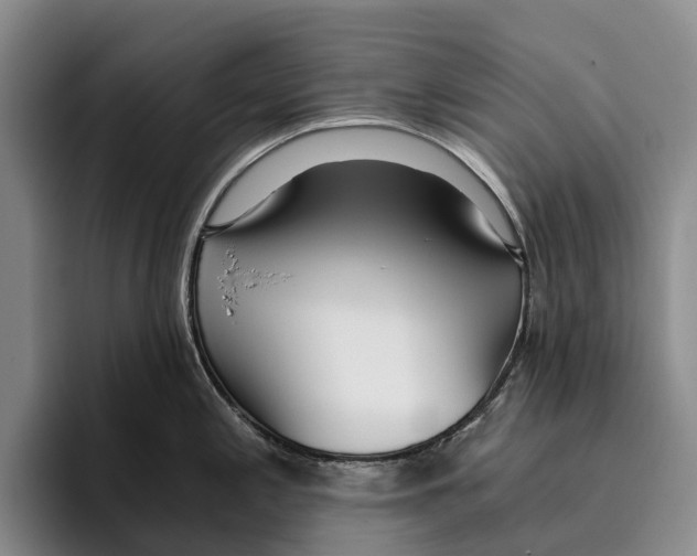 X0000096141197200802151328