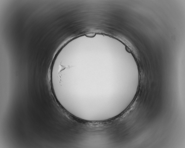 X0000096141198200802151328