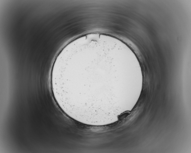 X0000096141199200802151328