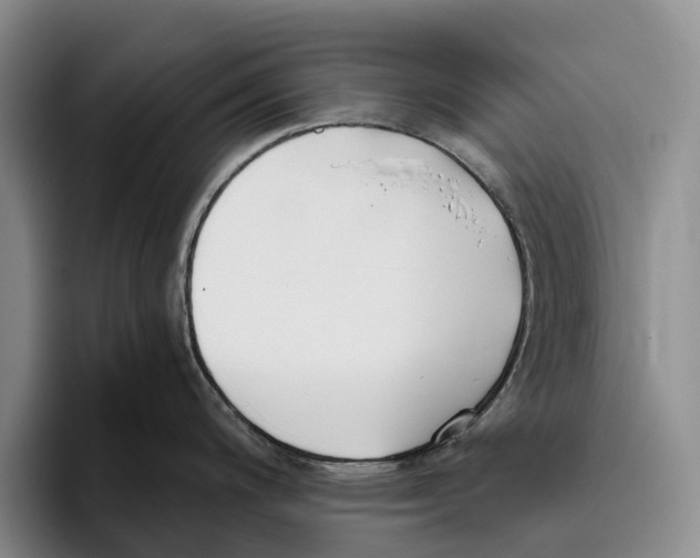 X0000096141200200802151328