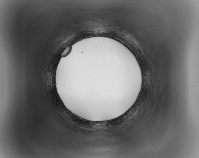 X0000096141205200802151327