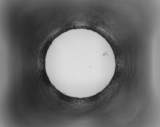 X0000096141207200802151327